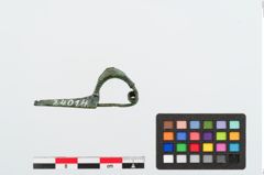 Foto von Bronzekahnfibel (NHMW-PRAE-024014)